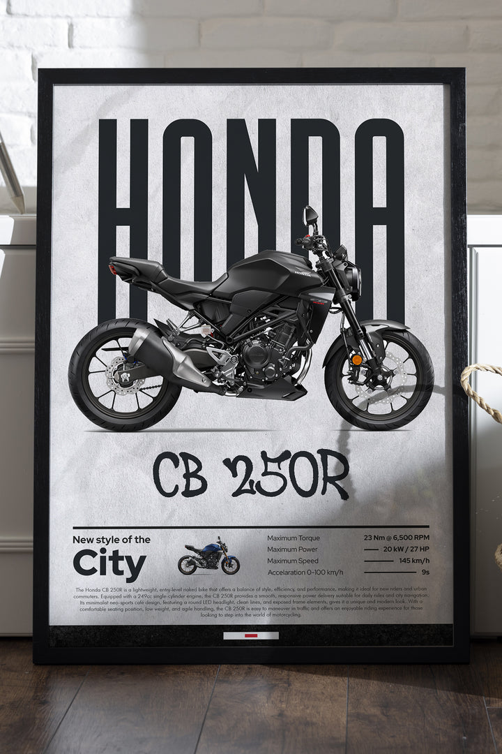Honda CB250R - tablo