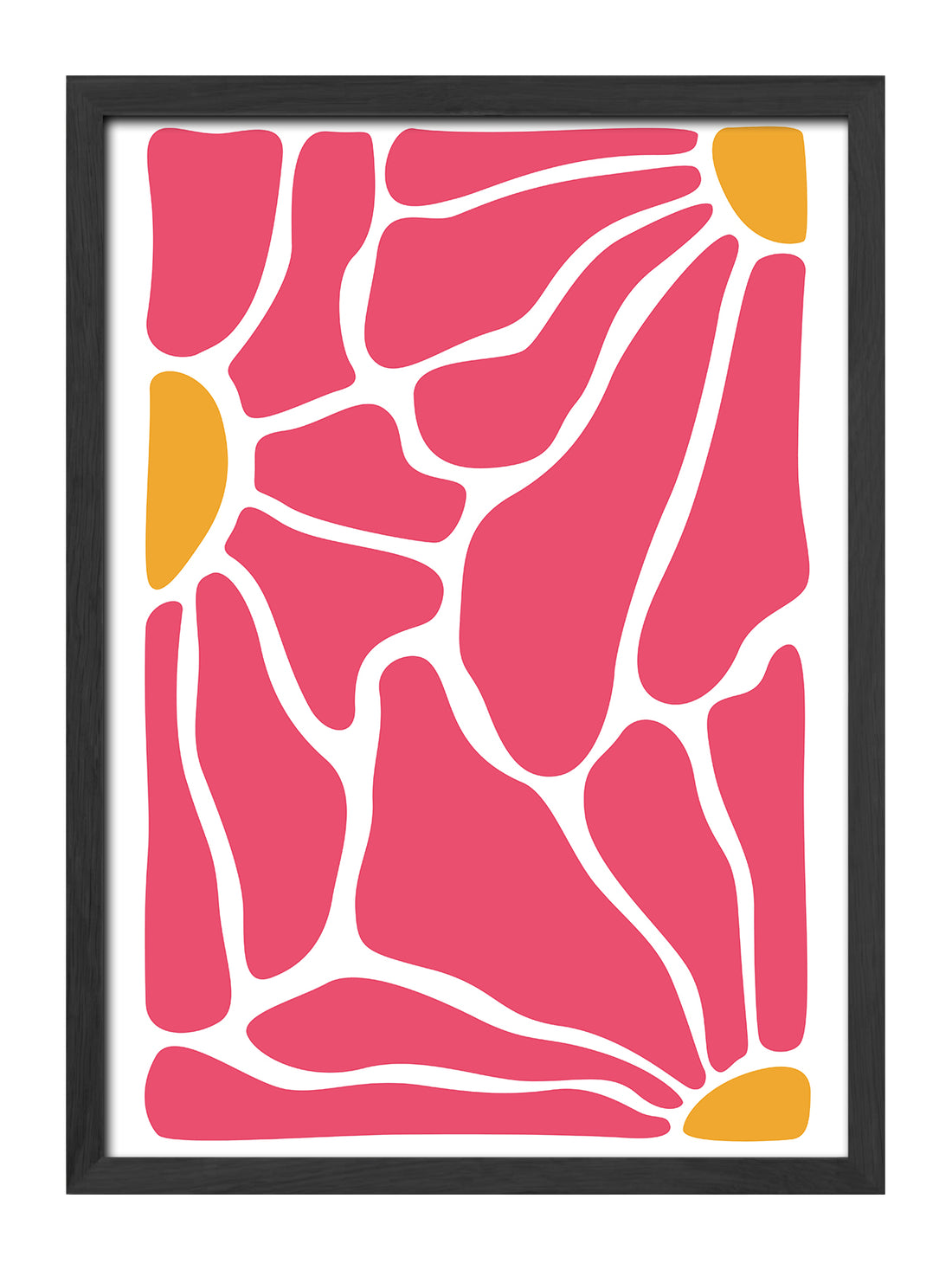 Abstract Bloom
