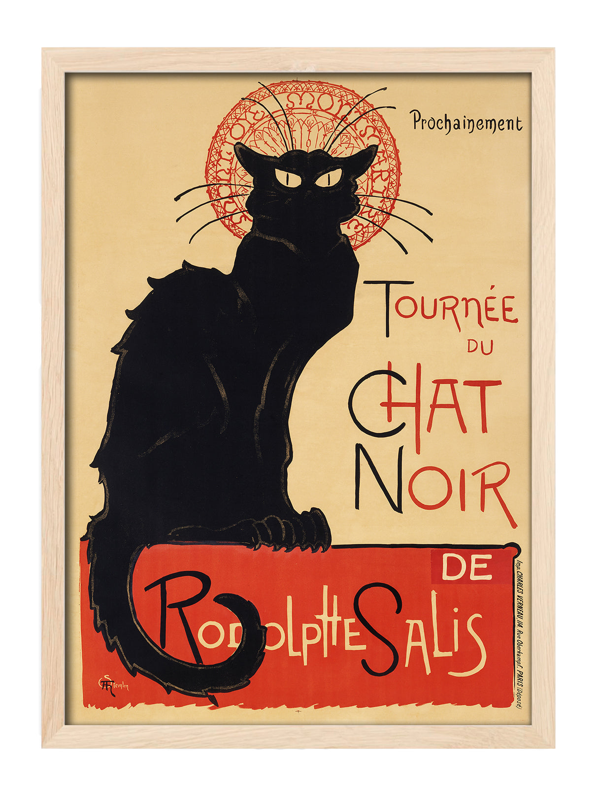 Chat Noir