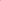 Chic Flamingo