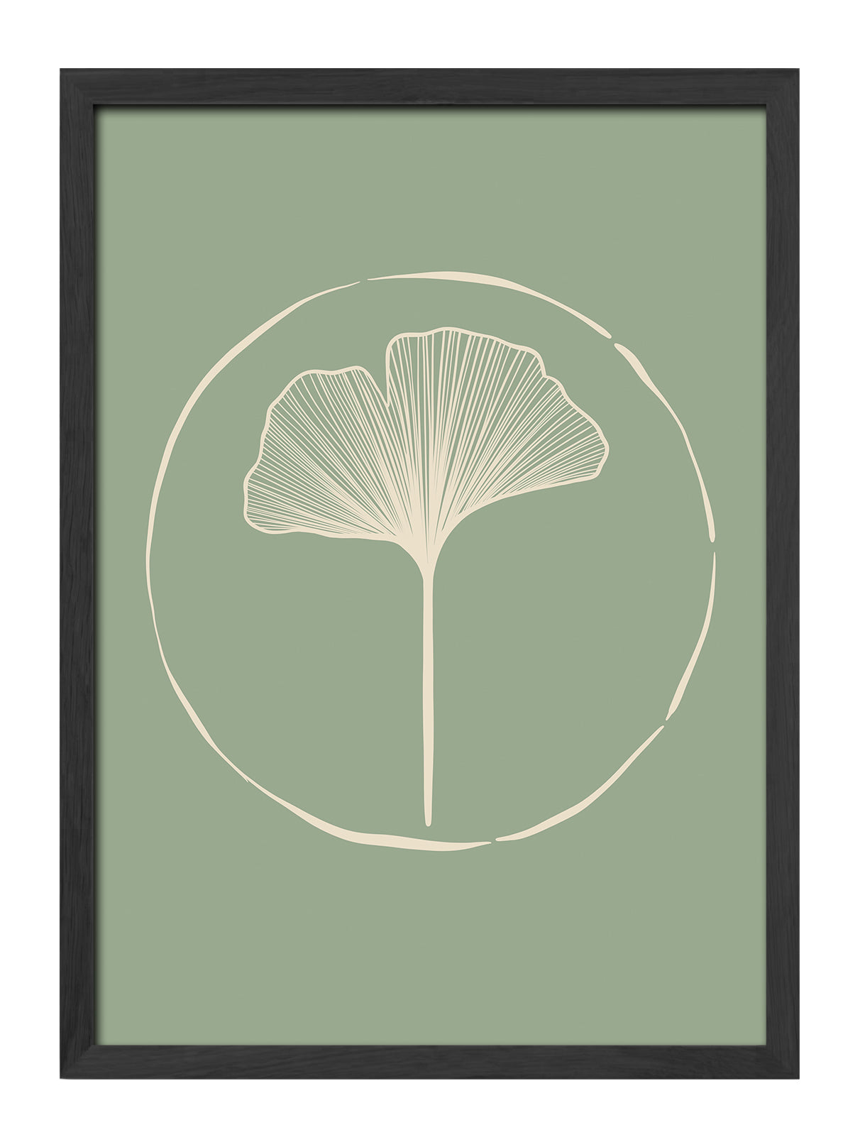 Ginkgo