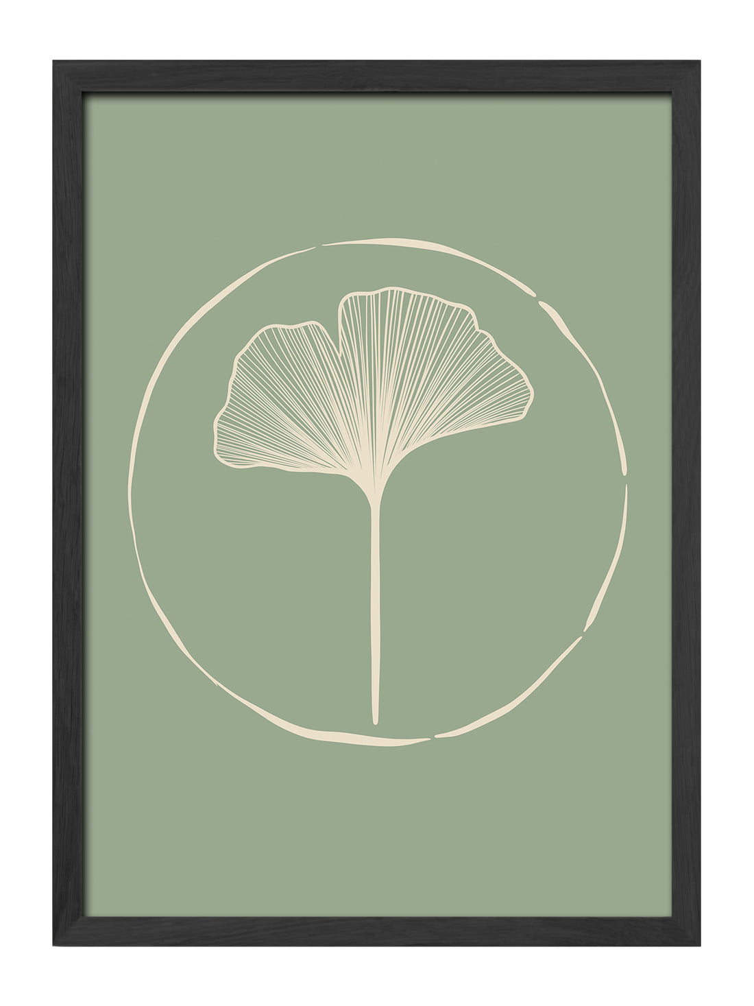 Ginkgo