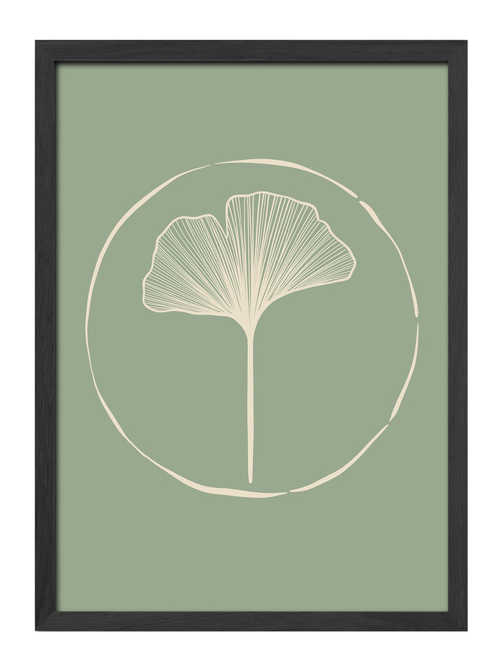 Ginkgo