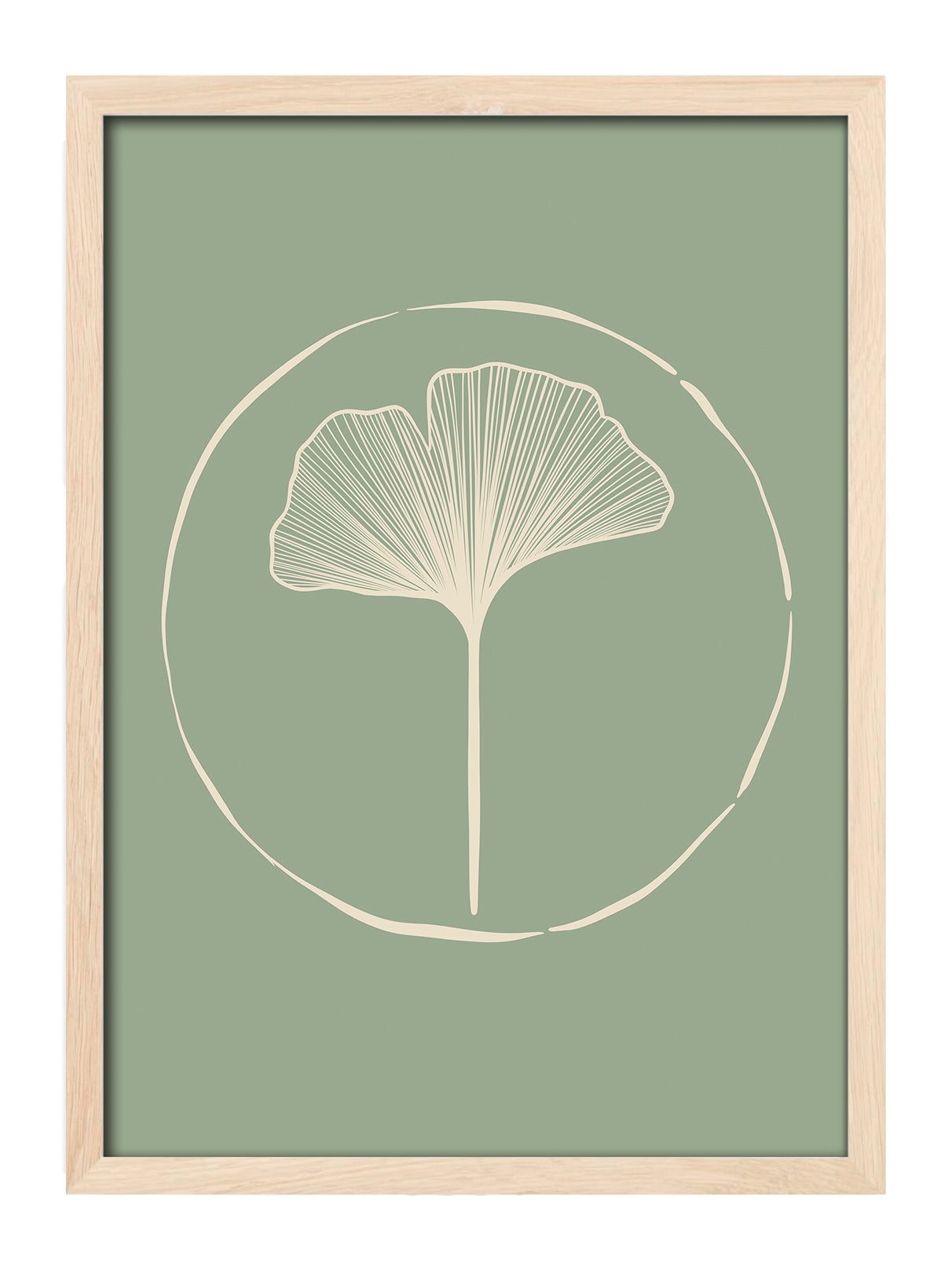 Ginkgo