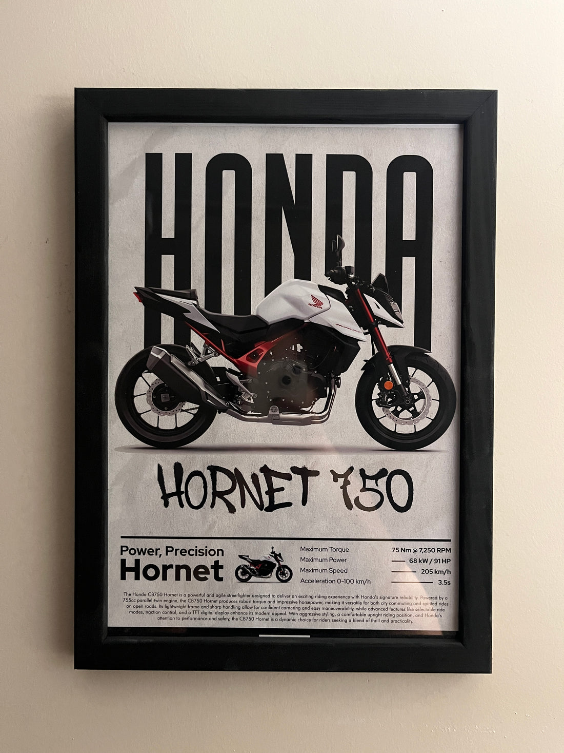 Honda Hornet 750