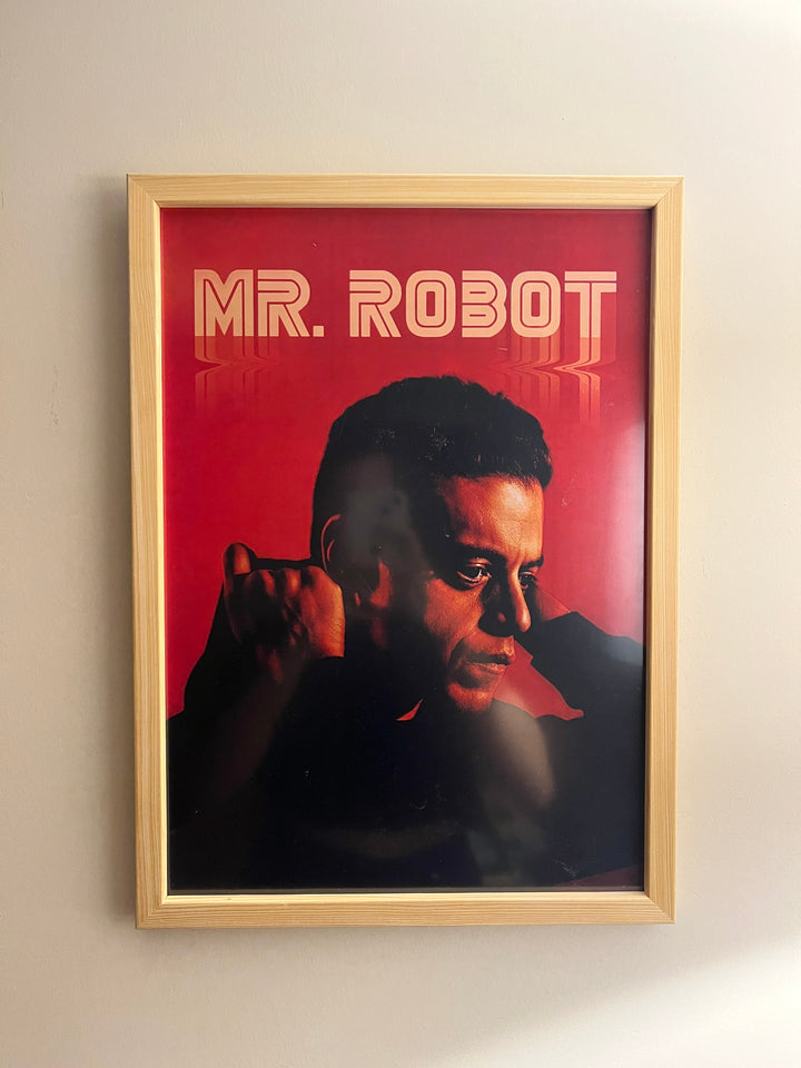 Mr. Robot