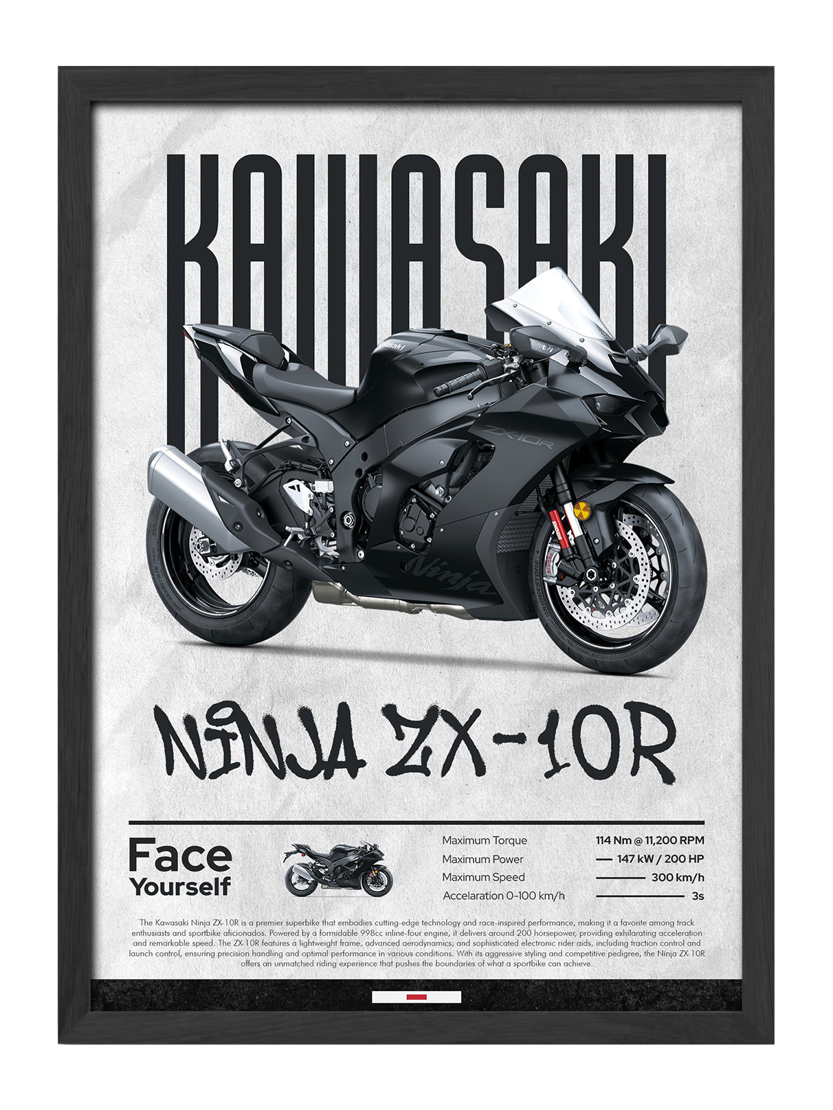 Kawasaki Ninja ZX-10R
