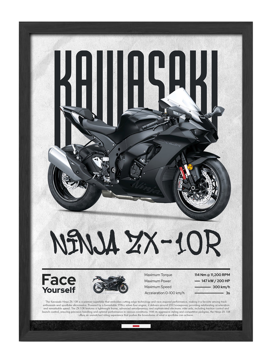 Kawasaki Ninja ZX-10R