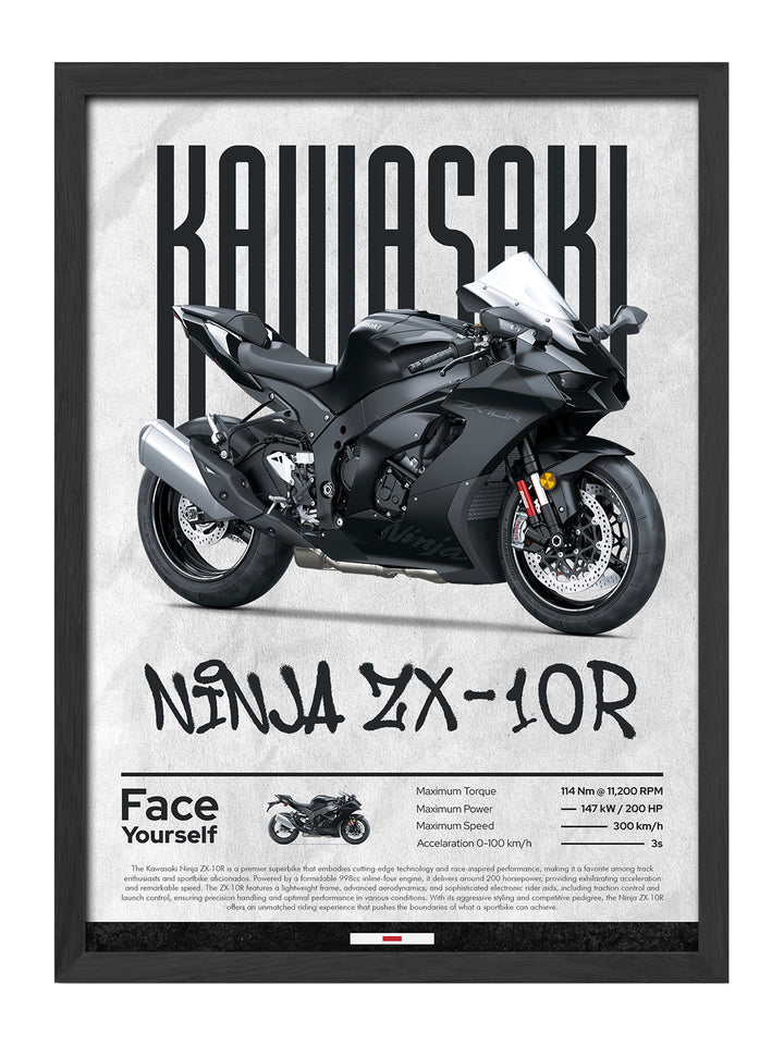 Kawasaki Ninja ZX-10R