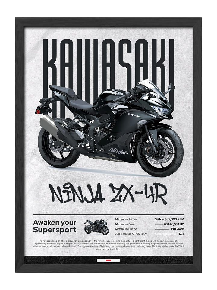 Kawasaki Ninja ZX-4R