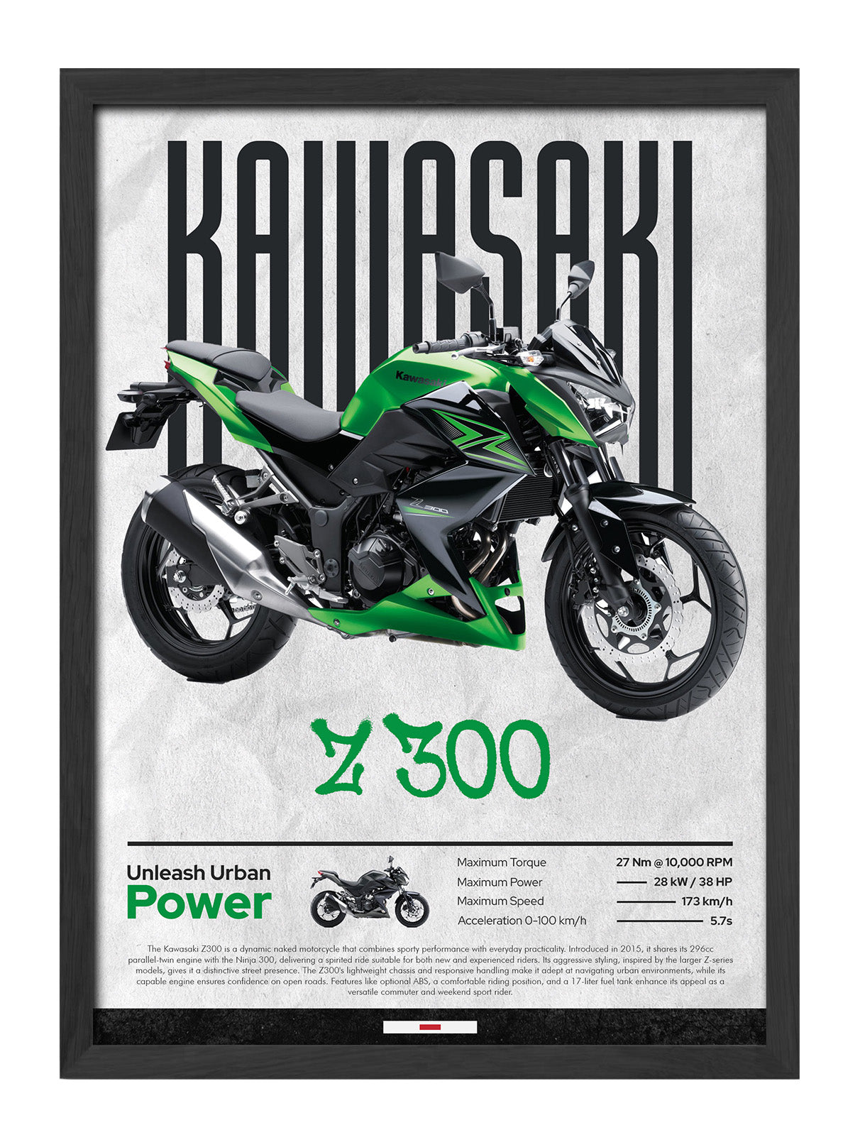 Kawasaki Z300