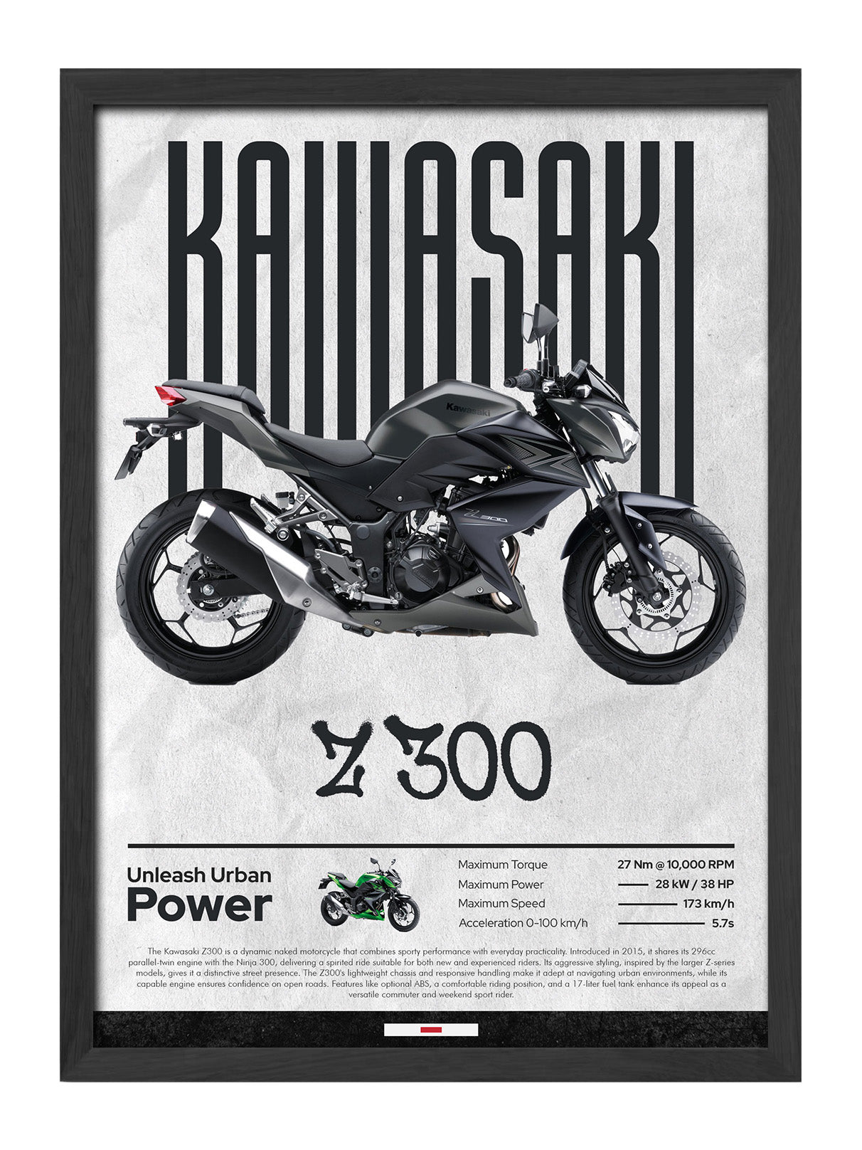 Kawasaki Z300