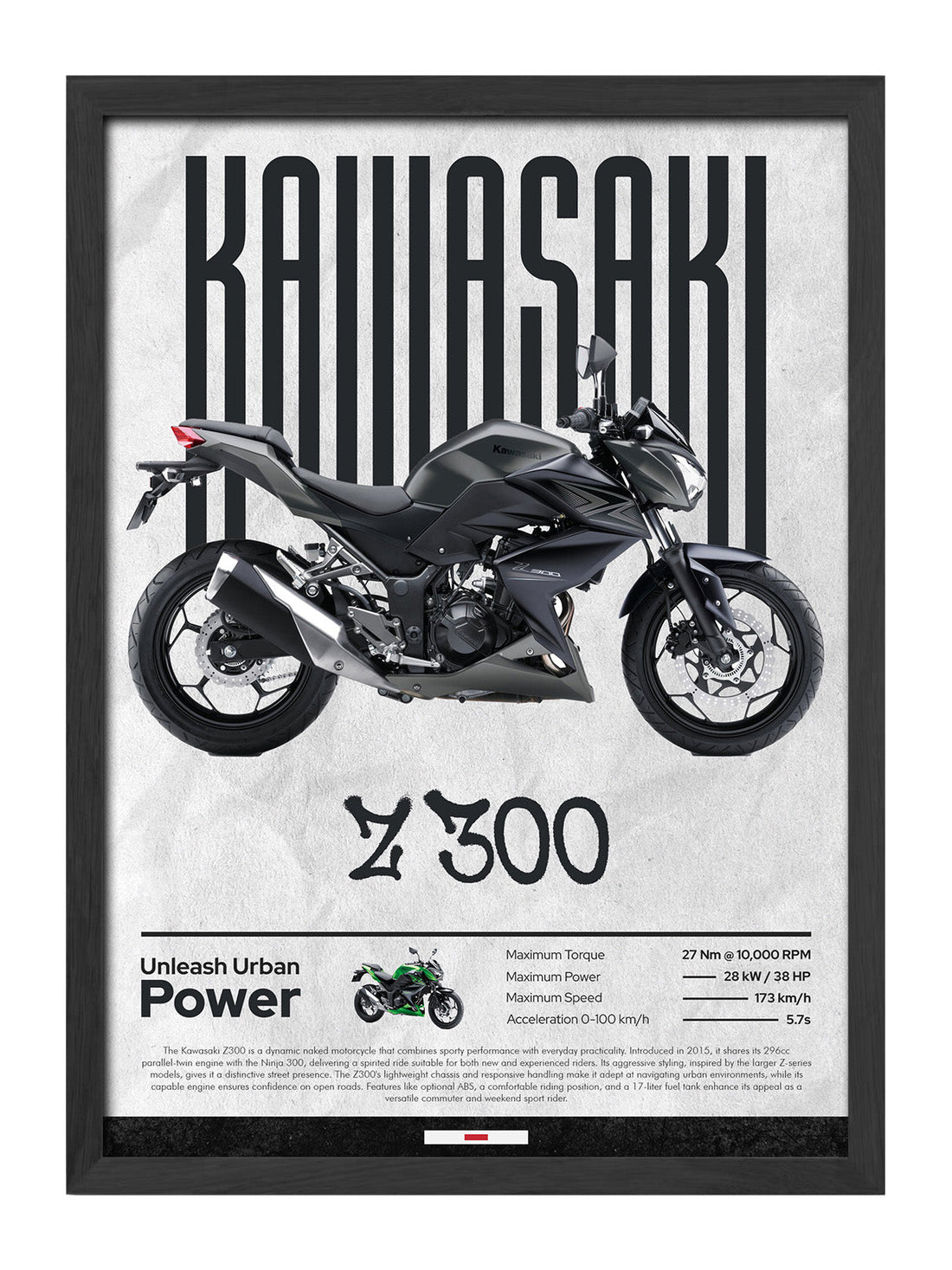 Kawasaki Z300