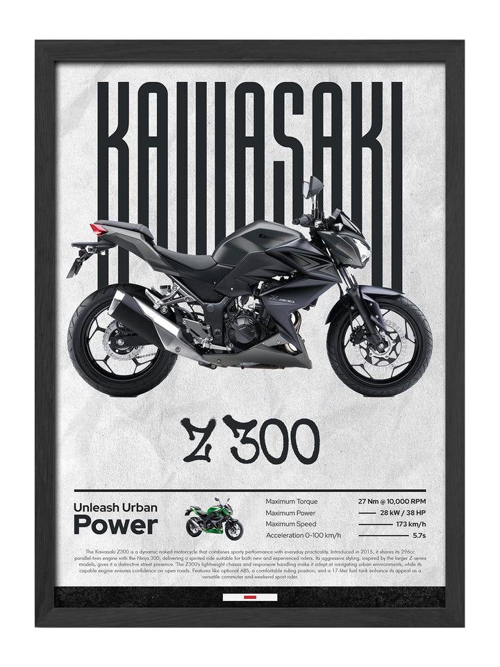Kawasaki Z300