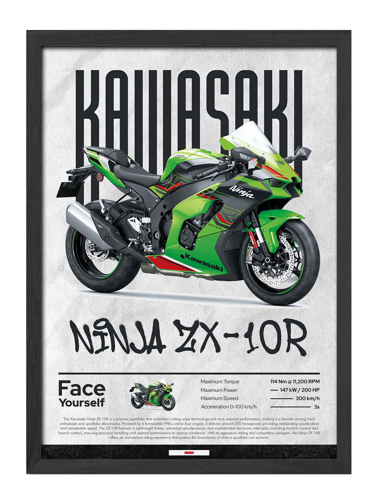 Kawasaki Ninja ZX-10R