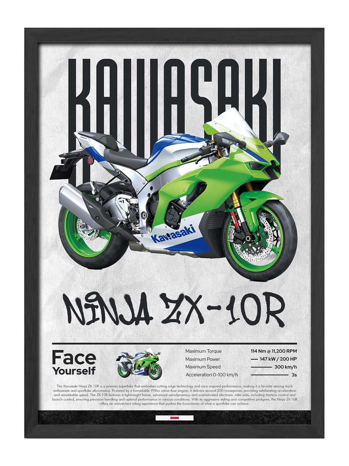 Kawasaki Ninja ZX-10R