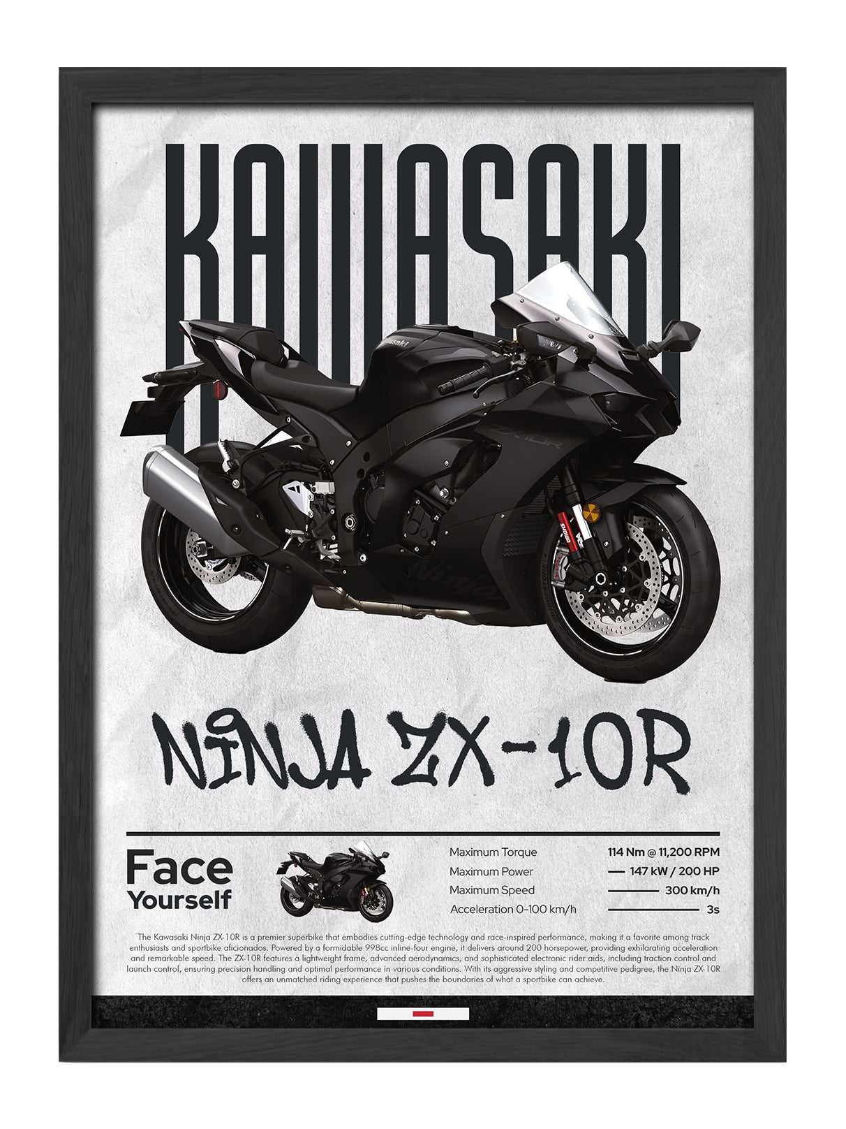 Kawasaki Ninja ZX-10R