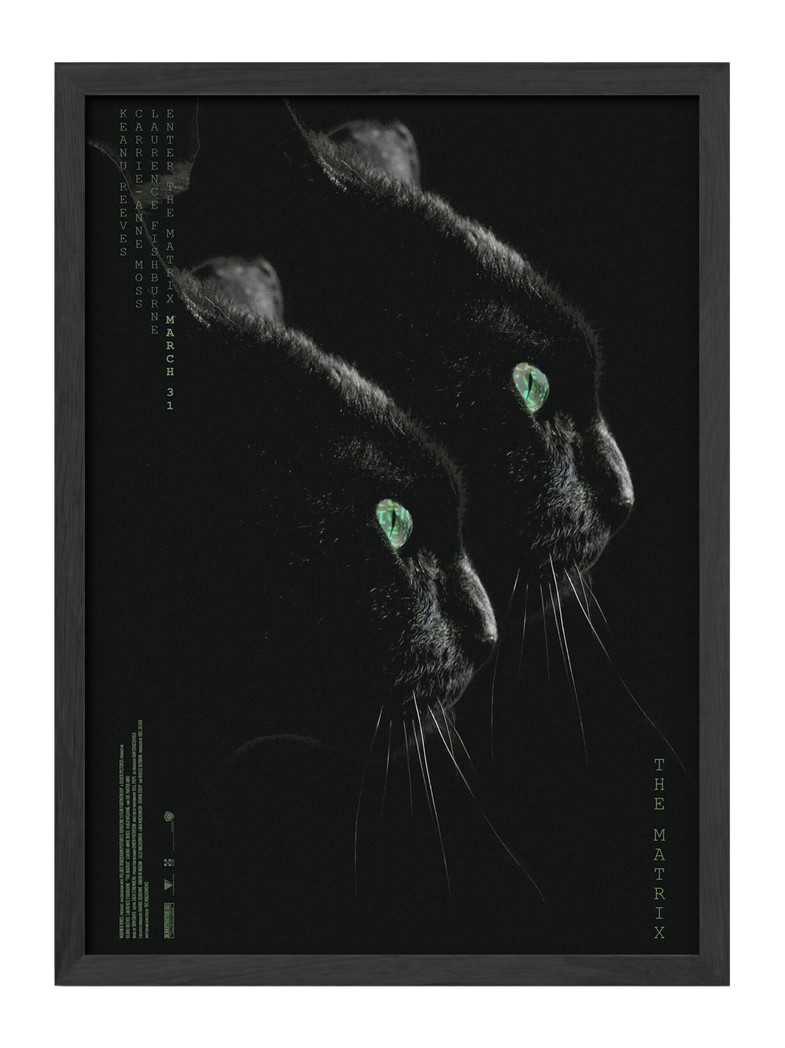 Matrix