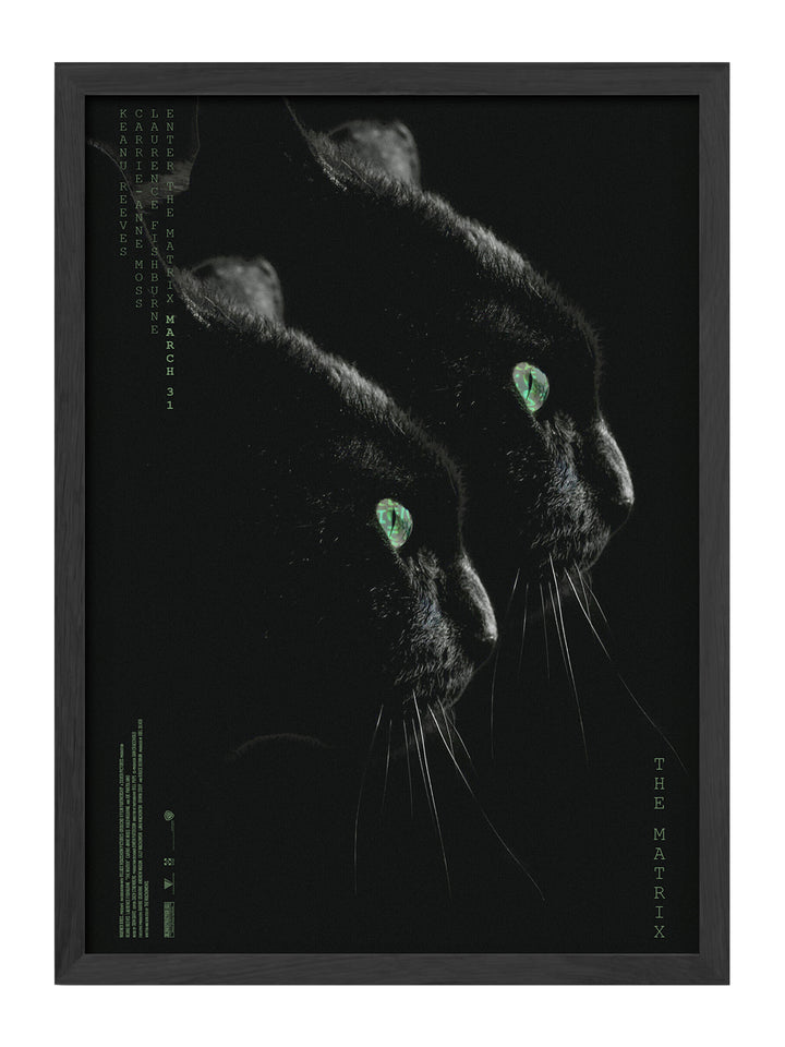 Matrix