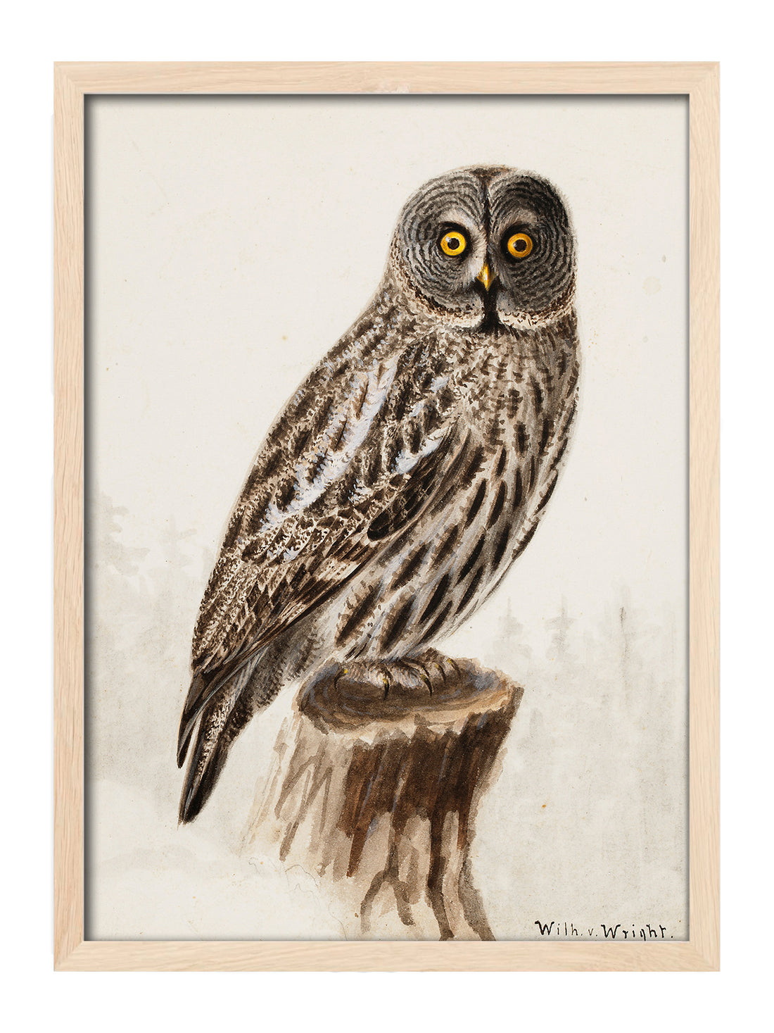 Owl