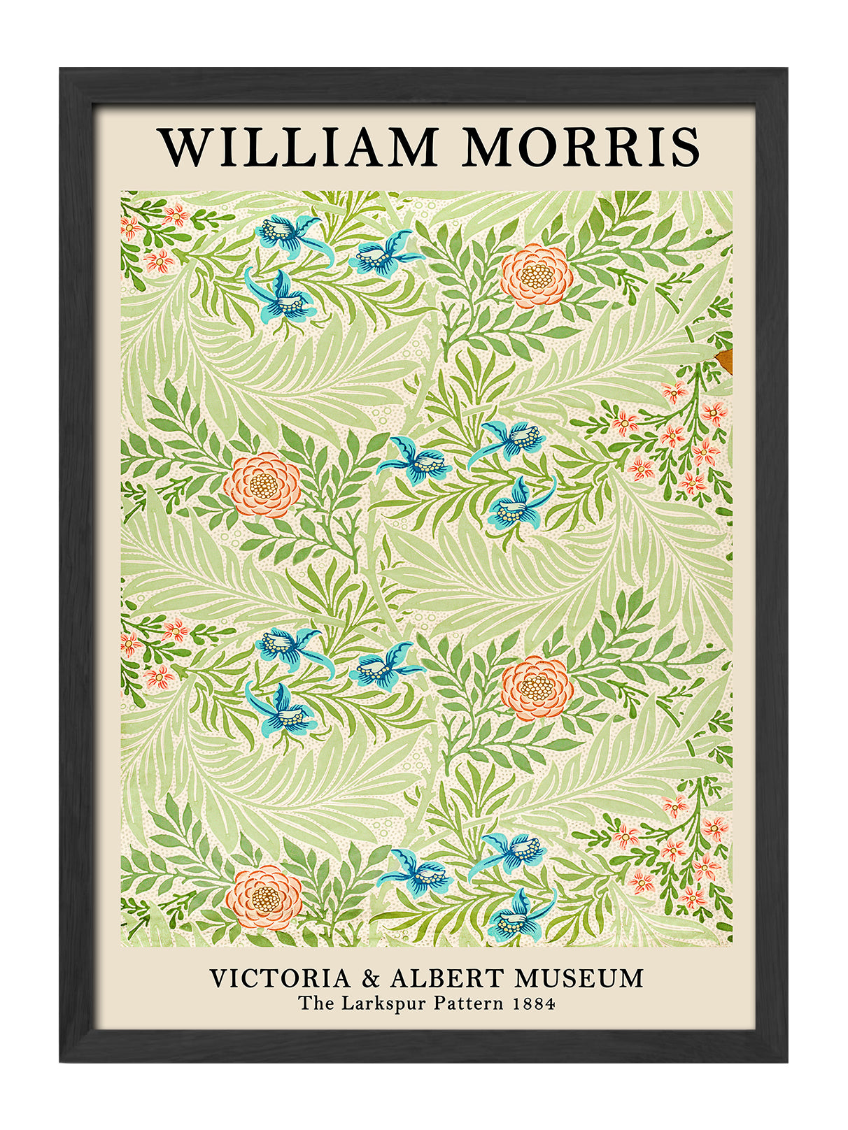 The Larkspur Pattern