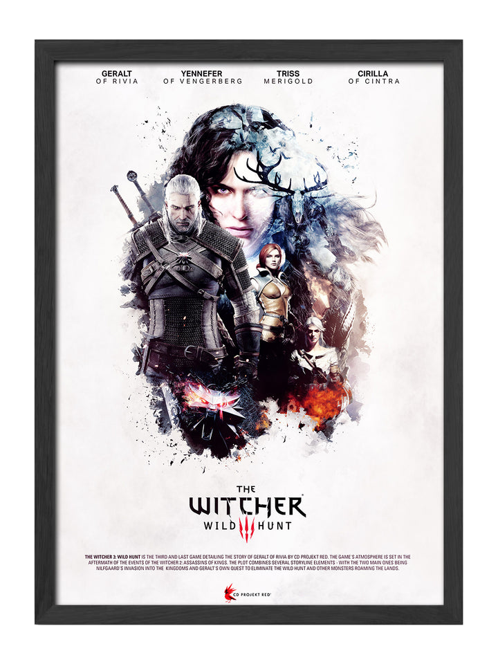 The Witcher