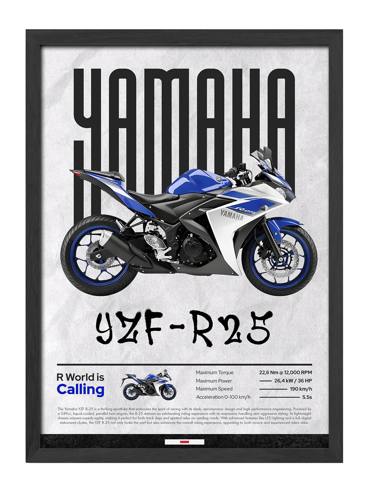 Yamaha YZF R25