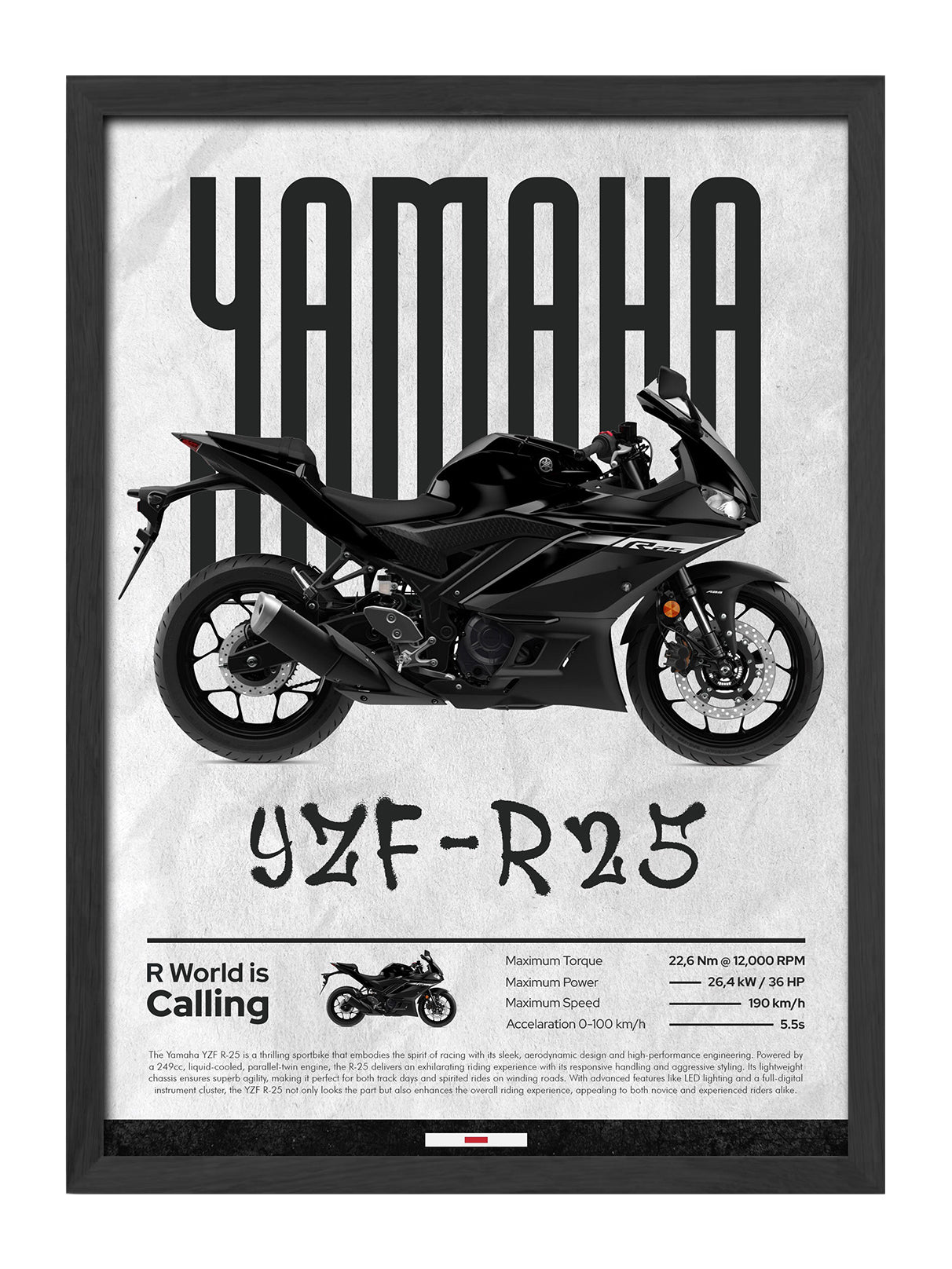 Yamaha YZF R25
