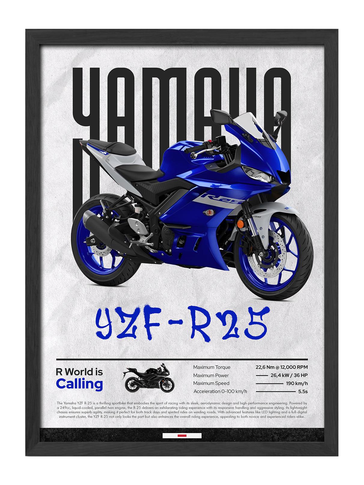 Yamaha YZF R25
